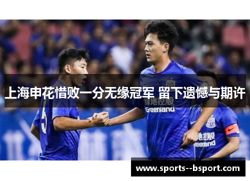 上海申花惜败一分无缘冠军 留下遗憾与期许